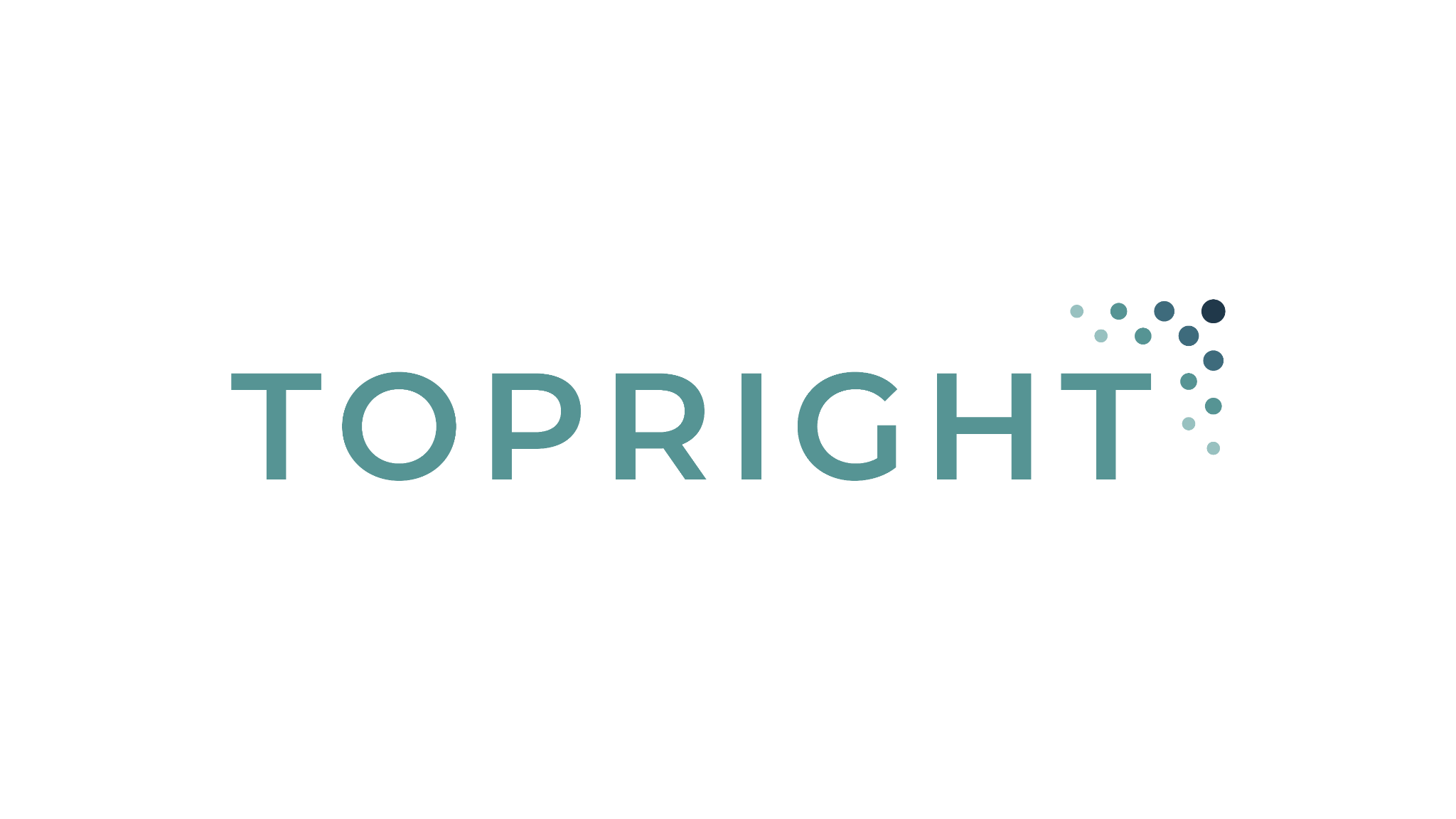 TopRight Consulting logo
